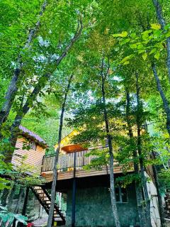 WoodLand Tskhvarichamia - Tsʼkhvarichamia - 9