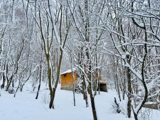 WoodLand Tskhvarichamia Private Cottage in Forest , 25 min from Tbilisi, Easy Access - 2