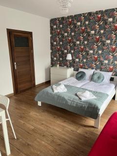 Przytulny apartament KOLEJOVA 12 - blisko centrum, idealny dla par - Nowy Targ - 0