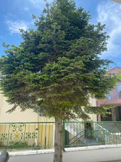 Small Garden Studio - Kavala - 6
