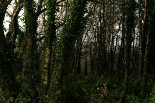 Reconnect at Off-Grid Hilltop Cabin with Mountain Views - 5