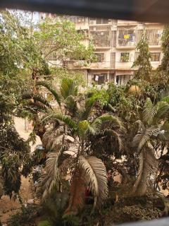 Spacious 1BHK Off Carter Road - 4