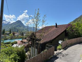 Aareblick 68 Charming studio with river view - Goldswil - 1