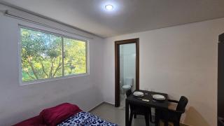 University Villa - San Lorenzo - 1