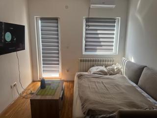 Spa Lux Appartement - Krnjača - 6