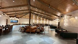 Jungle Lodge Resort - Kasauli - 6