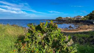 Apartment T2 1st floor Pools Porto Martins - Porto Martins - 7