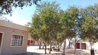 Mophane Camp - Palapye - 5