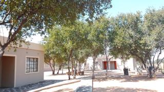 Mophane Camp - Palapye - 4