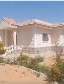 Emerald Luxury Garden Villa - Ismailia - 9