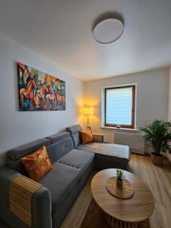 Apartament Radiostacja IX, parking free - Gliwice - 9