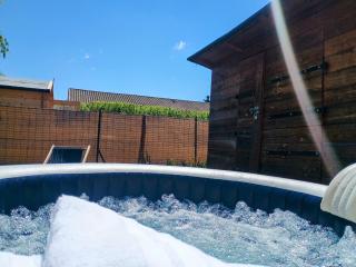 Studio Spa & Garden - LʼIsle-sur-la-Sorgue - 1