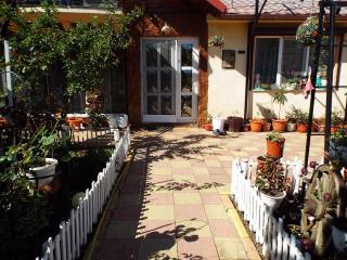 Casa Dorului - Limanu - 9