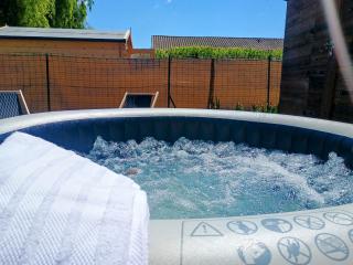 Studio Spa & Garden - LʼIsle-sur-la-Sorgue - 9