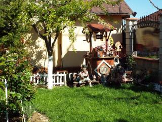 Casa Dorului - 8
