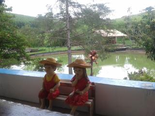 Lindo Sitio Próximo de São Luiz do Paraitinga - São Luiz do Paraitinga - 5