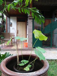 Kenanga Twin-bed Studio Ground Floor - 2