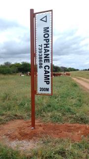 Mophane Camp - 2