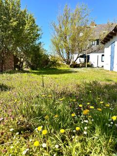 Dünennest Sylt - Traumhafter Garten & Kamin im Herzen von Hörnum - Hörnum - 2