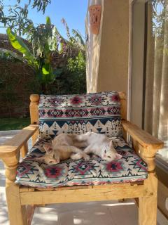 Life in Luxor - Nag` Naqsha - 4