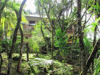 Refúgio em Mauá – 4 Suítes, Ofurô, Cachoeira e Vista Incrível - Itatiaia - 2