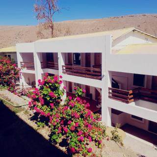 Termas del Salitre - Mamiña - 0