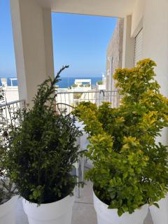 Petra Paura B&B - Polignano a Mare - 2