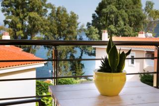 Deluxe Kefalonia Apartment Apartment Hyacinth 1 Bedroom Pool Sea View Karavomilos - Karavomylos - 5