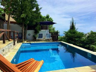 Great Pelion Villa Villa Thalia Private Pool 3 Bedrooms Aghios Georgios - Pilion - 6
