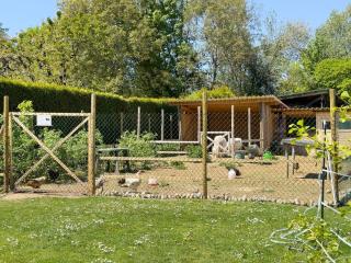 Obst- und Ferienhof Lehle - Immenstaad am Bodensee - 3