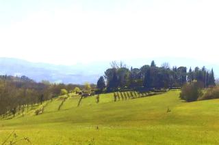 TUSCAN HILLS - STONEHOUSE, GARDEN & POOL - Vicchio - 1