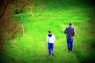 TUSCAN HILLS - STONEHOUSE, GARDEN & POOL - Vicchio - 3