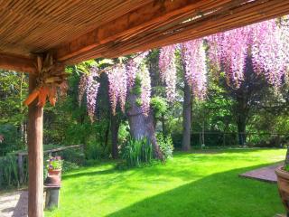 TUSCAN HILLS - STONEHOUSE, GARDEN & POOL - Vicchio - 7