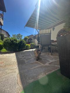 NIKI HOUSE - Bansko - 3