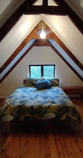 Lotus lily Cottage - Knysna - 8