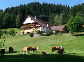 Nichtraucher-ferienwohnung, 60qm - Oberwolfach - 0