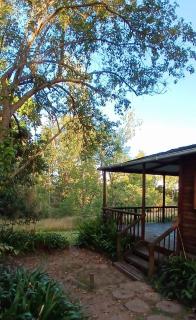 Lotus lily Cottage - Knysna - 1