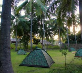 Nirvana bamboo houses & dive resort - 1