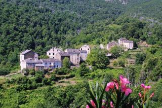 U Santu - Piedicroce - 6