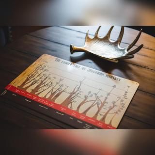 Couples Paradise II - by The Chalets - Logan - 5