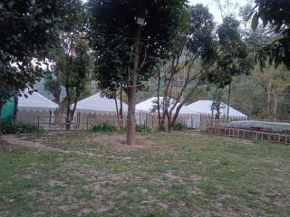 Hotel Nature's Nest #Free Wifi# Luxury rooms with Outstanding nature view# Free Parking - 6