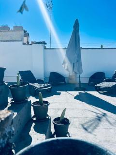 Domus Olea & Opuntia Salento - Galatone - 3