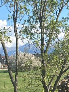 Dom Pod Wierzbami, blisko skibusa , zniżki na termy - Białka Tatrzańska - 5