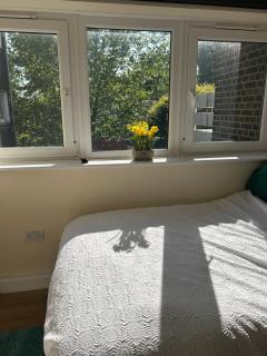 1 bedroom near Wimbledon lawn tennis museum - Londra - 4