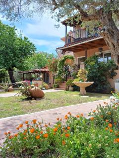 Daisy rooms Skiathos - Skiathos - 0