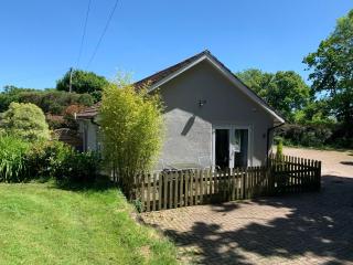 Legge Farm - Rosemary - Highampton - 4