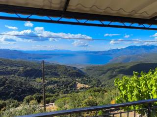 Cuckoo's view - - 1