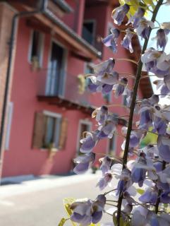 B&B Rubino - Cuneo - 5