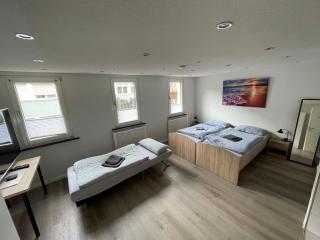 City Apart 2 Stadtwohnung mit NETFLIX Nahe Bahnhof - Sinsheim - 8