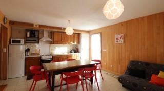Cantal Gite au pied du Griou Super Lioran - Saint-Jacques-des-Blats - 5